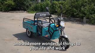 Electric Tricycle Loader  EV Loader  Chinese Manufacturers EVTricycle tricycle tricks maifeng [upl. by Manda]