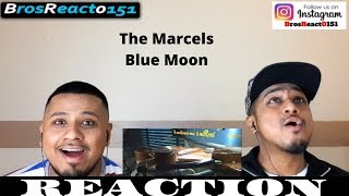 FIRST TIME HEARING  The Marcels  Blue Moon  REACTION [upl. by Dino]