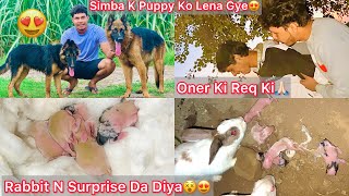 Simba K Puppy Tarzan Ko Lena Gye🐶Owner Ki Request Ki🙏🏻 Rabbit N Etna bda Surprise Diya Achanak😵😍 [upl. by Leksehcey]