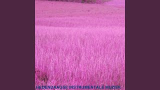 Hedendaagse Instrumentale Muziek [upl. by Nies62]