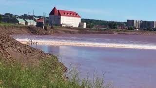 Surfer le mascaret— Sur la rivière Petitcodiac [upl. by Hirsch]