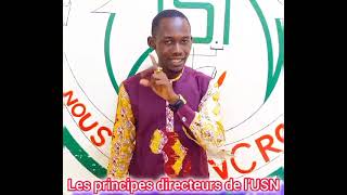 Les PRINCIPES Directeurs de lUSN [upl. by Cheyney]