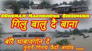 Dhemaji Machkhowa Sissimukh Jonmichuk Gerjai Sissimukh Over Floods Effected [upl. by Nagud108]