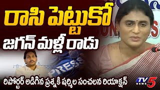 YS Sharmila Strong Reply to Reporter Question Over Ys Jaganmohan Reddy  Tv5 News [upl. by Madox]