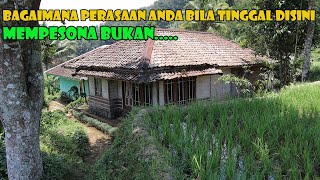 Kampung Kombinasi Di Antara Sawah Dan Daratan Makan Siang Sama Ikan Peda [upl. by Fradin]