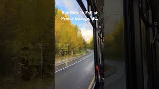 Bus Ride at Prince George city BC Fall is quite beautiful in the North unbc PrinceGeorge [upl. by Hope817]