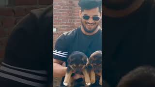 Pawan Sahu Ka dog 🐶🐕shortsytshortfactsyrendingviralvideonewfacts [upl. by Drofliw]