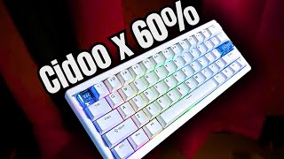 So you like RGB Cidoo QK61 60 Wireless Mechanical Keyboard Teardown and Review [upl. by Panchito857]