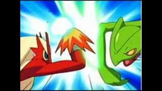 Blaziken Vs Sceptile [upl. by Atazroglam839]