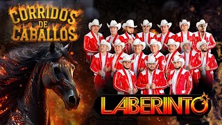 Grupo Laberinto Corridos De Caballos Mix [upl. by Ardnassela]