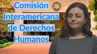 ¿Qué es la CIDH y cuáles son sus funciones [upl. by Noryd]