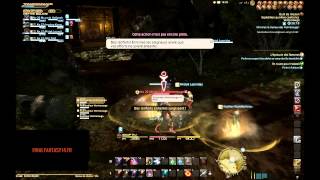 Opérations de Guilde Expédition punitive contre les Ventrerouge  FFXIV ARR [upl. by Sonnnie]