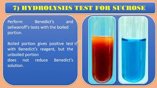 Carbohydrates Hydrolysis test [upl. by Atiz]