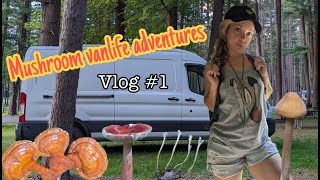 Mushroom Vanlife Adventures  Vlog 1 [upl. by Neraj710]