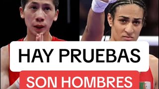 HAY PRUEBAS DE QUE LAS DOS BOXEADORAS OLIMPICAS SON HOMBRES IMANE KHELIF Y LIN YU TING SEGUN EL IBA [upl. by Ahsiekram298]