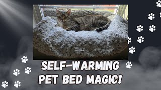 Warm and Cozy Self Heating Cat Mat [upl. by Sherri]