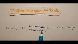 Stoffwechselwege im Überblick [upl. by Katt]