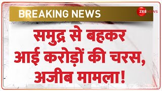 Breaking News समुद्र से बहकर आई करोड़ों की चरसअजीब मामला  Porbandar  Gujarat  Hindi News [upl. by Lolanthe]