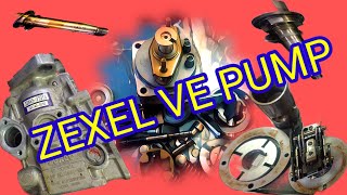 Zexel Ve Pump Repair Manual  CAT Skid Steer Loader 246D  Zexel Injection Pump Rebuild [upl. by Neu]