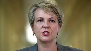 Labor delivering on renewable energy boom Tanya Plibersek [upl. by Idrahs]