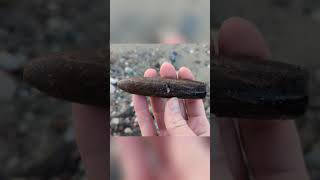 Discovering a huge 66100 Million Year Old Belemnite Fossil on Baltic Sea Beaches beach fossil [upl. by Kevin]