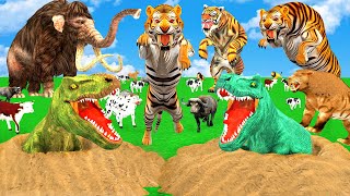 3 SaberToothed Tigers VS Tyrannosaurus rex Attack Cow Buffalo Saved By Wolly Mammoth Smilodon TRex [upl. by Ihcehcu]