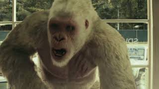 How the gorilla escape from the prison  Rampage 2018  English HD  Movie shots  3 [upl. by Mathews373]