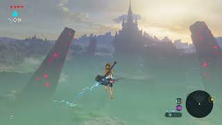 How To Do BOTW Any Castle Route And Windblight Skip  Part 2 [upl. by Christoforo]