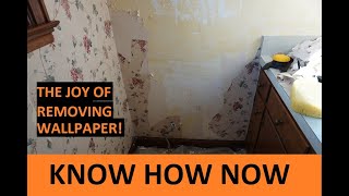 How to Remove Wallpaper Easy Tips and Tricks [upl. by Niwrad]