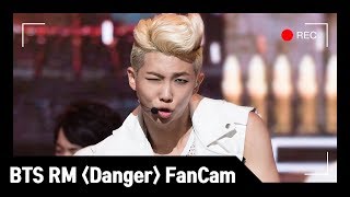 BTS Comeback Stage D5 BTS RM  Danger FanCam [upl. by Fritts]