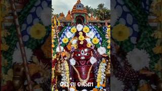 Jay maa tarini🙏New odia bhajan maa tarini new song2024trendingshortvideoshortsmaatarinibhajan🙏🙏 [upl. by Mohn267]