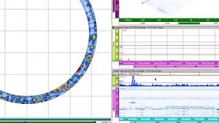 Dimensionamiento de Longitud en PA incluye vista polar [upl. by Sherri]