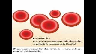 Bloedarmoede  Wat is bloedarmoede en wat zijn de symptomen [upl. by Akirea]