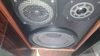 RCF BR 45 Speakers Test di Fra2429 [upl. by Hodgson]