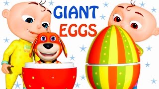 Five Little Babies Opening Giant Eggs  Zool Babies Fun Songs  Five Little Babies Collection [upl. by Basso]