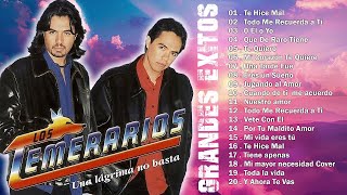 Los Temerarios 2024 ❤️‍🔥 Mix Romántico para Enamorarse Más ❤️‍🔥Viejitas Románticas de Los Temerarios [upl. by Auqinaj]