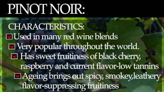 Pinot Noir [upl. by Newman]