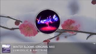 Lumidelic amp Ametrine  Winter Blooms Original Mix Synth Collective [upl. by Yelahc]