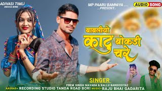 singara kalu bandodiya 2 ampprem Singh mavada  बाबलीयो I adivasi dj remix song 2024 [upl. by Andreas]