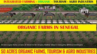 50 ACRES ORGANIC FARM AGROTOURISM AND AGRO INDUSTRIS COMPLEX IN SENEGAL 3D MODEL organic ifs [upl. by Krenn]