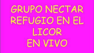 Grupo Nectar  Refugio En El Licor en vivo [upl. by Gadmon]