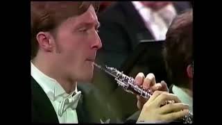 Mahler symphony 1 Bassoon Oboe solo [upl. by Harlen]