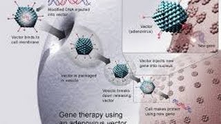 BETATHALASSEMIA PATIENT SUCCESSFULLY RESPONDS TO LENTIVIRAL GENE THERAPY NEWS UPDATE [upl. by Anitnamaid978]