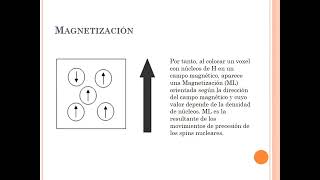 Spin y Magnetización L y T [upl. by Luapnoj995]