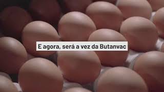 A fábrica de ovos que ajuda na produção de vacinas do Butantan [upl. by Aliza481]