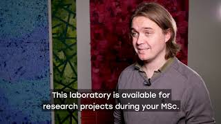 An introduction to MSc Molecular Microbiology at Sheffield Hallam University [upl. by Sim]