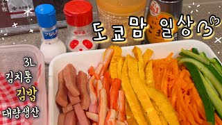 김밥 대량생산🍙 낙곱새로 하나비 홈파티🥳 한달살이 짐싸기 준비물🧳 내돈내산 캠핑용품 언박싱🏕️ [upl. by Sucramraj]