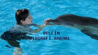 Biografía Animal  DELFÍN [upl. by Cordi]