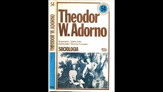 CAPITALISMO TARDIO OU SOCIEDADE INDUSTRIAL  THEODOR ADORNO [upl. by Onia]