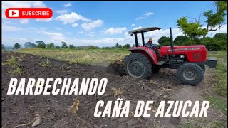 Barbecho de Caña de azucar con tractor massey ferguson 285 [upl. by Ayotan]